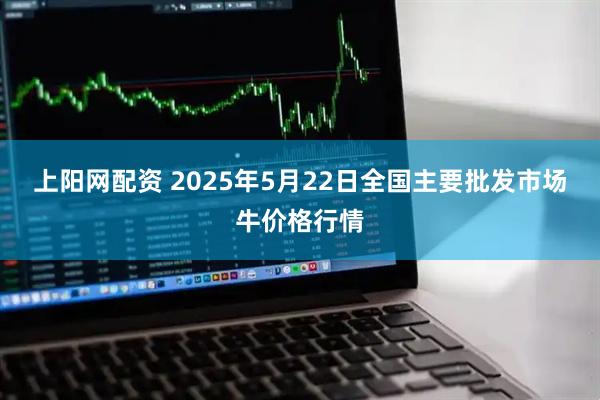 上阳网配资 2025年5月22日全国主要批发市场牛价格行情
