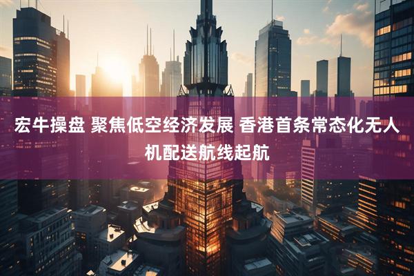 宏牛操盘 聚焦低空经济发展 香港首条常态化无人机配送航线起航
