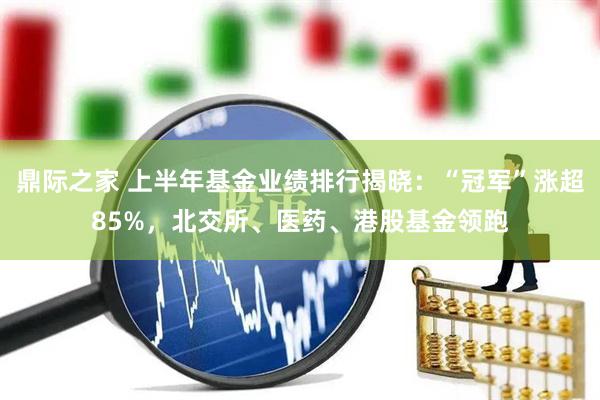 鼎际之家 上半年基金业绩排行揭晓：“冠军”涨超85%，北交所、医药、港股基金领跑