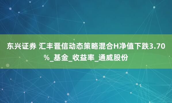 东兴证券 汇丰晋信动态策略混合H净值下跌3.70%_基金_收益率_通威股份