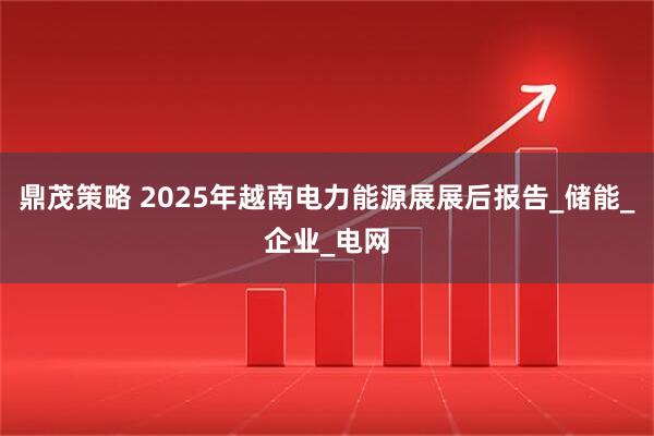 鼎茂策略 2025年越南电力能源展展后报告_储能_企业_电网