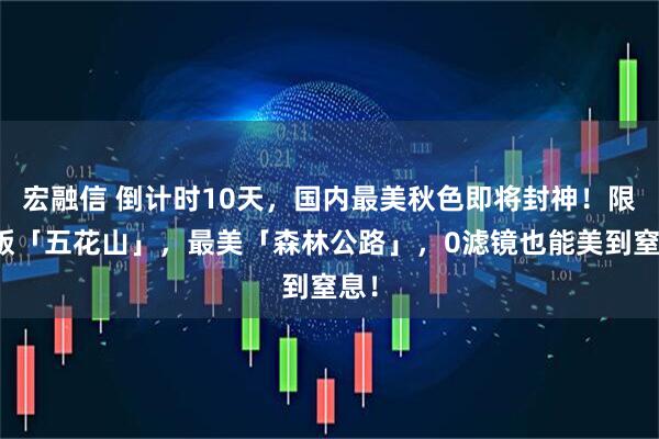 宏融信 倒计时10天，国内最美秋色即将封神！限定版「五花山」，最美「森林公路」，0滤镜也能美到窒息！