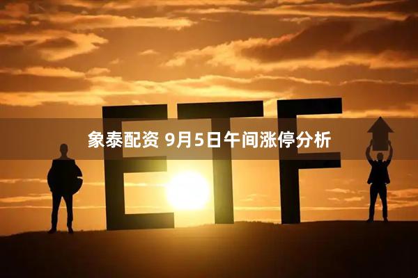 象泰配资 9月5日午间涨停分析