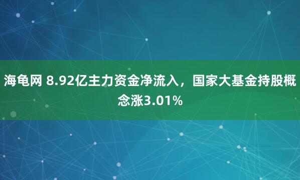 海龟网 8.92亿主力资金净流入，国家大基金持股概念涨3.01%