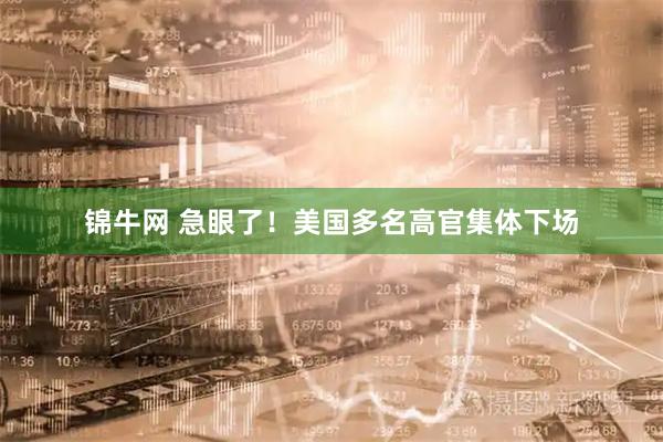 锦牛网 急眼了!美国多名高官集体下场