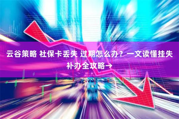云谷策略 社保卡丢失 过期怎么办?一文读懂挂失补办全攻略→
