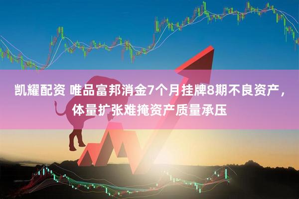 凯耀配资 唯品富邦消金7个月挂牌8期不良资产，体量扩张难掩资产质量承压